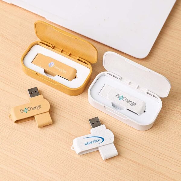 Clé USB beige moucheté en paille de blé avec son coffret de rangement écologique.