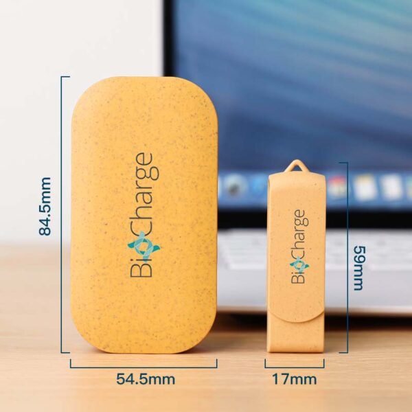 Clé USB beige moucheté en paille de blé avec son coffret de rangement écologique.